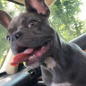 Meet your Posher, Brit